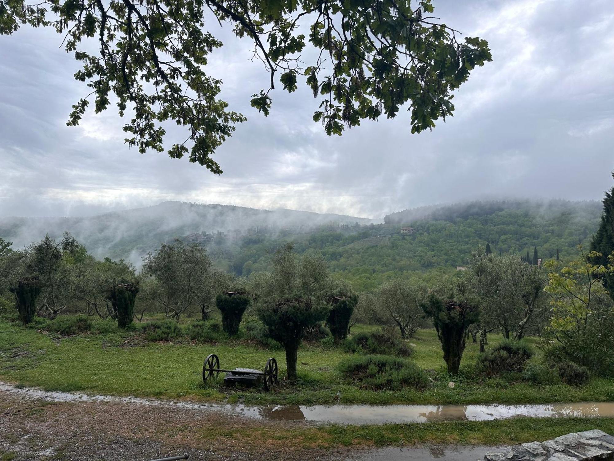 Podere Sagna Castellina in Chianti Exterior photo