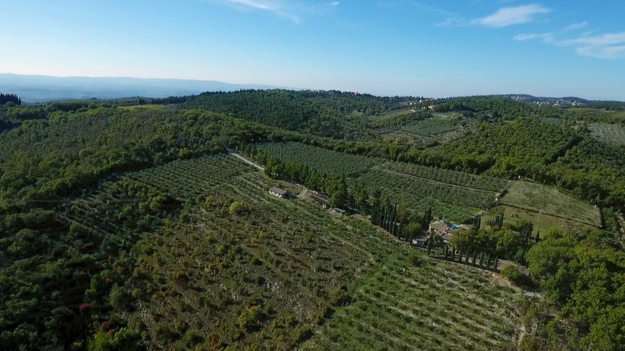 Podere Sagna Castellina in Chianti Exterior photo