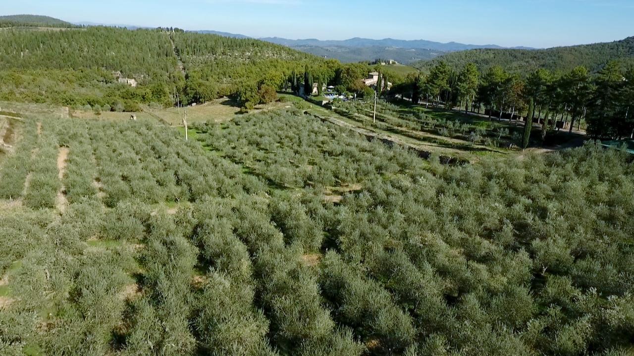 Podere Sagna Castellina in Chianti Exterior photo